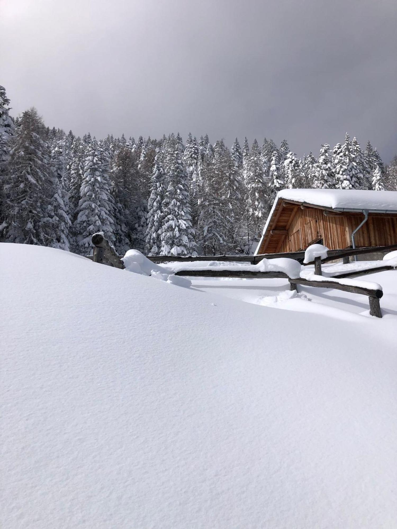 Brenta Luxury Chalet Sporminore المظهر الخارجي الصورة